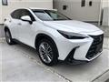 2021 Lexus NX