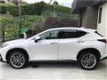 2021 Lexus NX