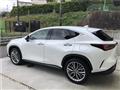 2021 Lexus NX