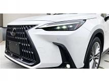 2021 Lexus NX