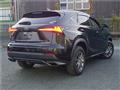 2020 Lexus NX