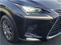 2020 Lexus NX