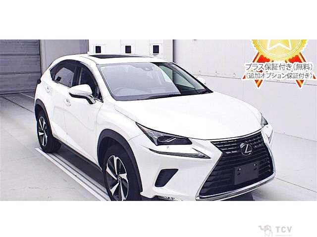 2020 Lexus NX