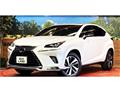 2020 Lexus NX