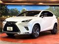 2020 Lexus NX