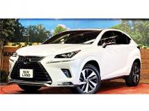 2020 Lexus NX