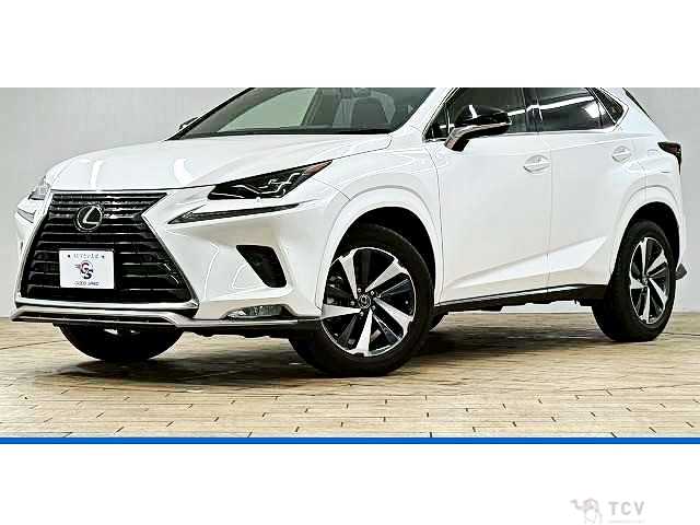 2020 Lexus NX