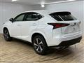 2020 Lexus NX
