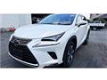 2020 Lexus NX