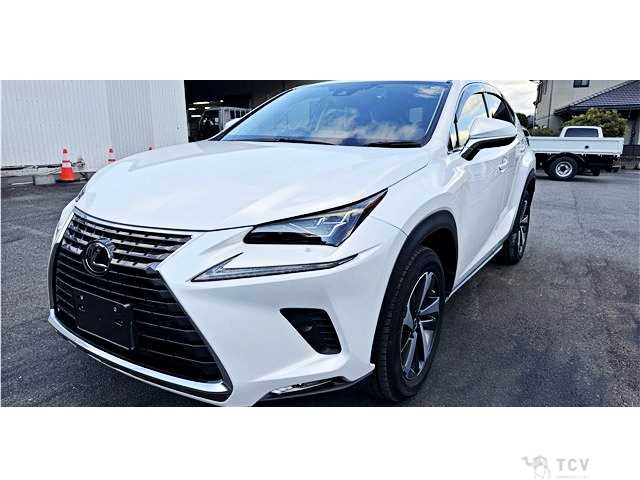 2020 Lexus NX