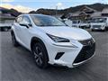 2020 Lexus NX