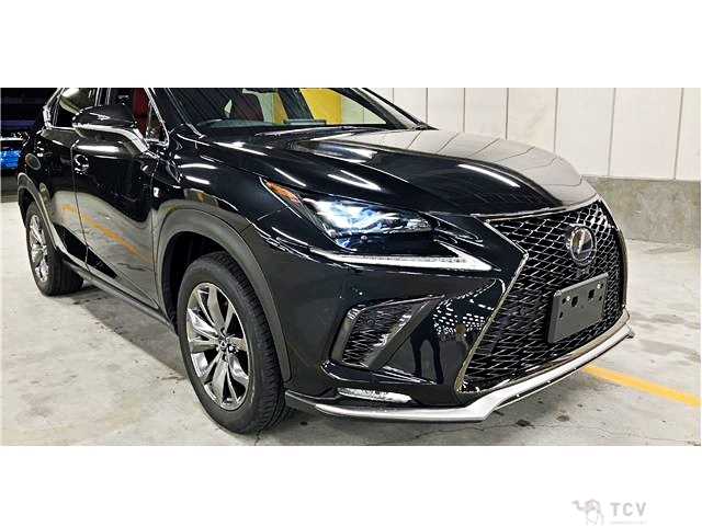 2020 Lexus NX