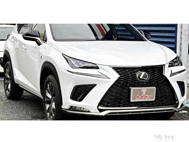 2020 Lexus NX