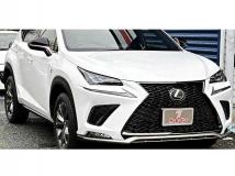 2020 Lexus NX