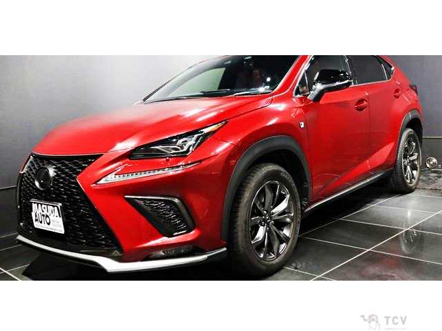 2020 Lexus NX