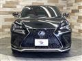 2020 Lexus NX