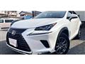 2019 Lexus NX