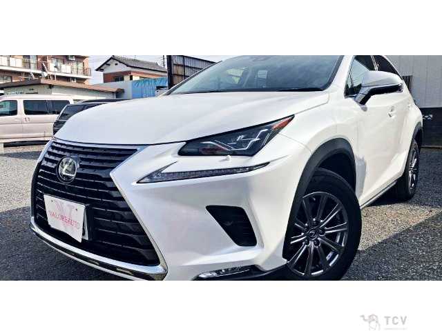 2019 Lexus NX