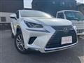 2019 Lexus NX