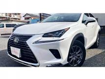 2019 Lexus NX