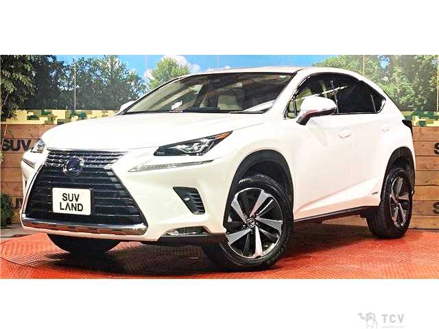 2019 Lexus NX