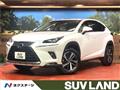 2019 Lexus NX