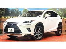 2019 Lexus NX