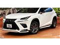2019 Lexus NX