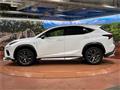 2019 Lexus NX