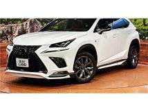 2019 Lexus NX