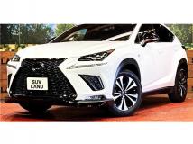 2019 Lexus NX
