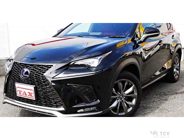 2019 Lexus NX