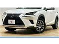 2018 Lexus NX