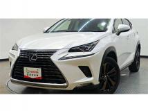 2018 Lexus NX