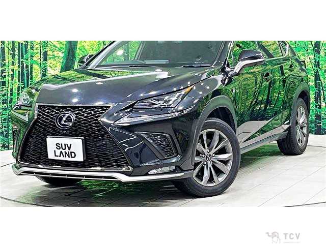2018 Lexus NX