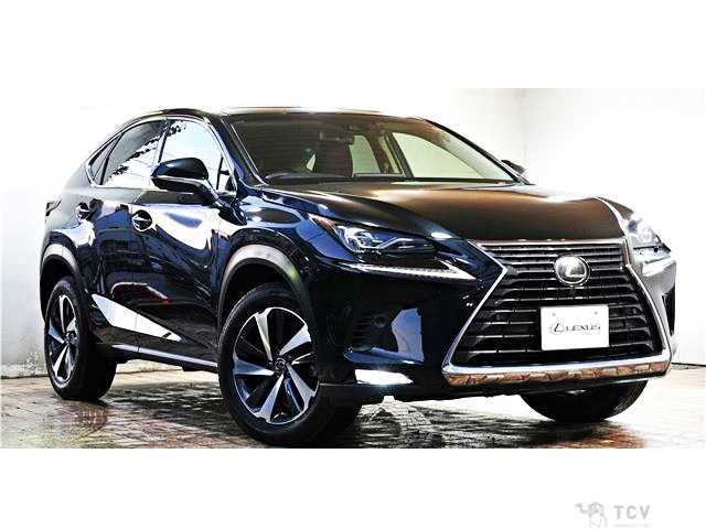 2017 Lexus NX