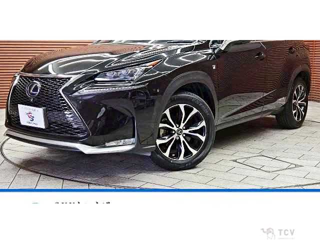 2015 Lexus NX