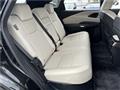 2025 Lexus RX