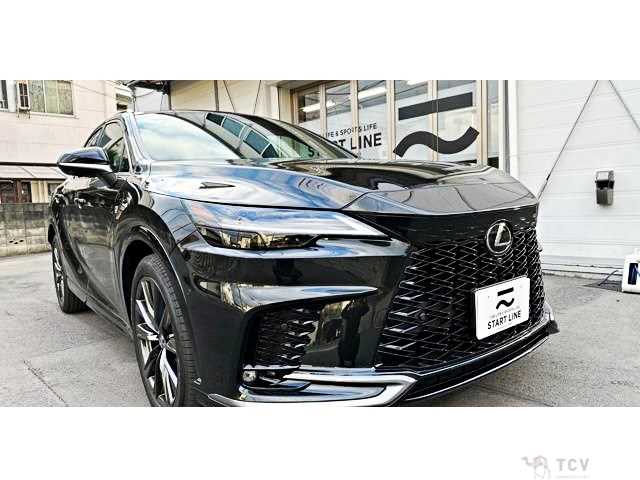 2025 Lexus RX