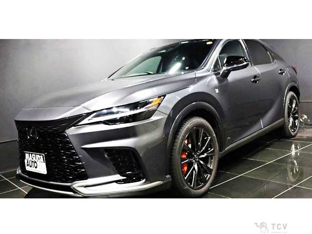 2025 Lexus RX