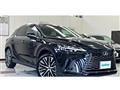2025 Lexus RX