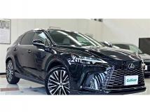 2025 Lexus RX