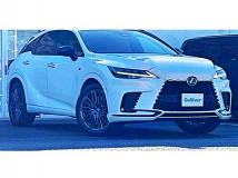 2025 Lexus RX