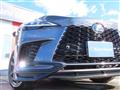 2025 Lexus RX