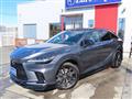 2025 Lexus RX
