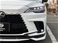 2025 Lexus RX