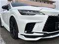 2025 Lexus RX