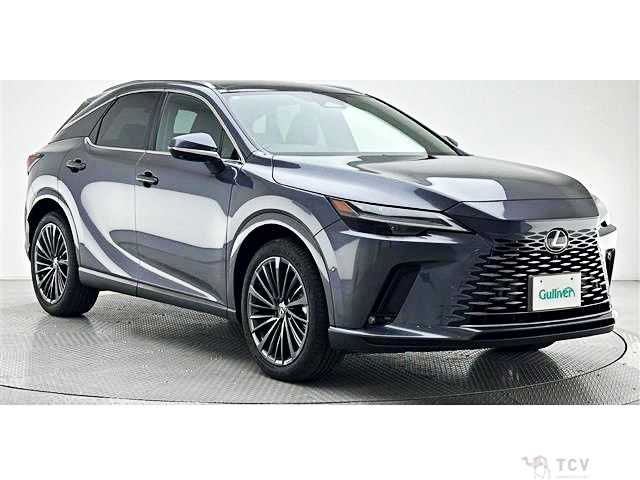2024 Lexus RX