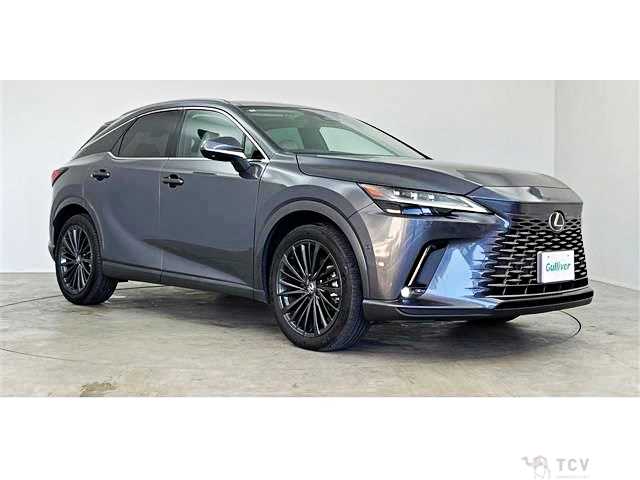 2024 Lexus RX