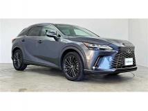 2024 Lexus RX